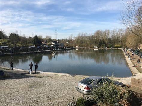 forelvijver ardennen|Forellenvijvers België